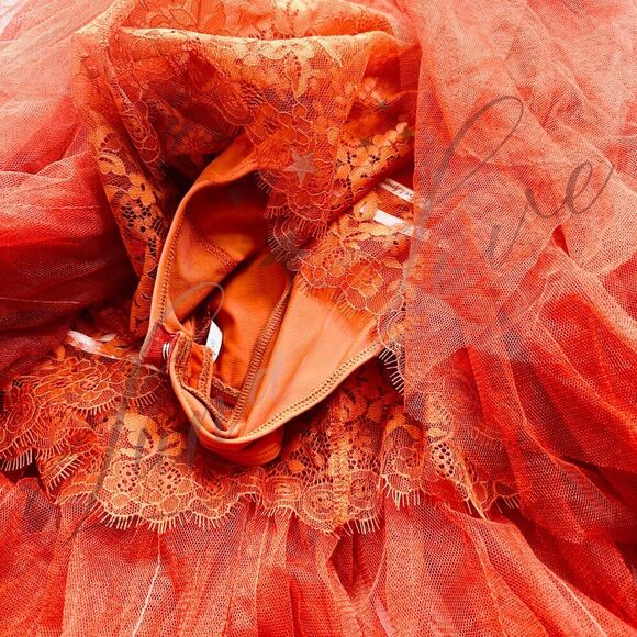 FOR LOVE & LEMONS Bustier Gown/Dress In Rust NWT - Picture 7 of 13